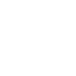 Voorbeeld van de button